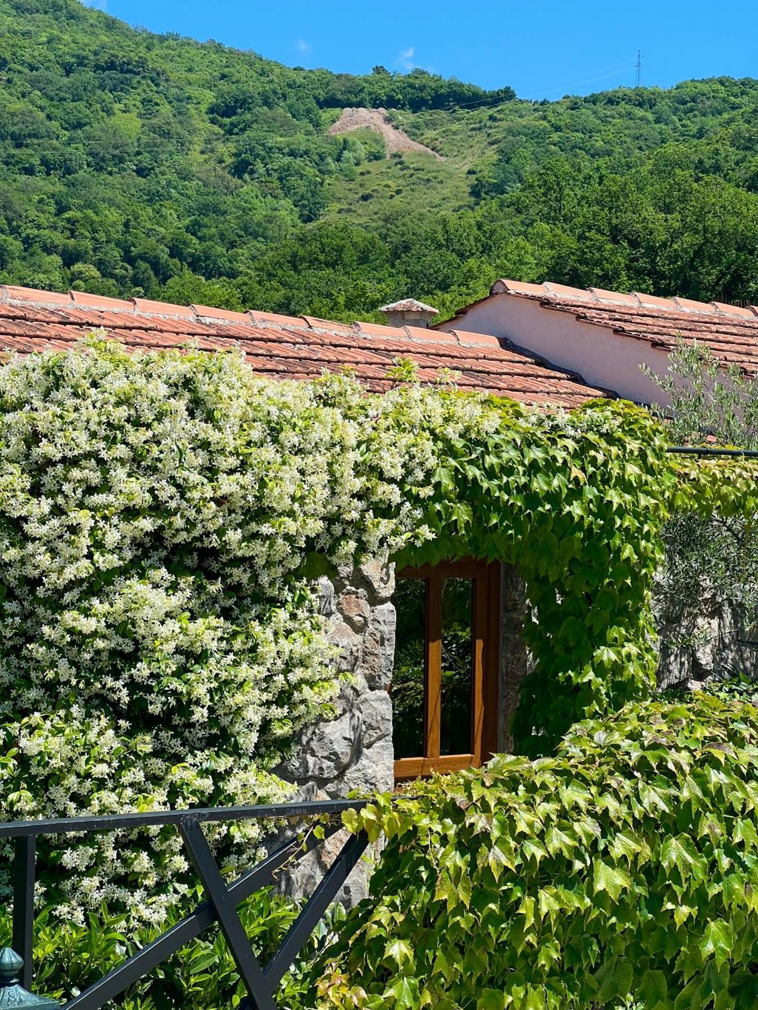 Hotel Opera Jaz Budva Exterior foto
