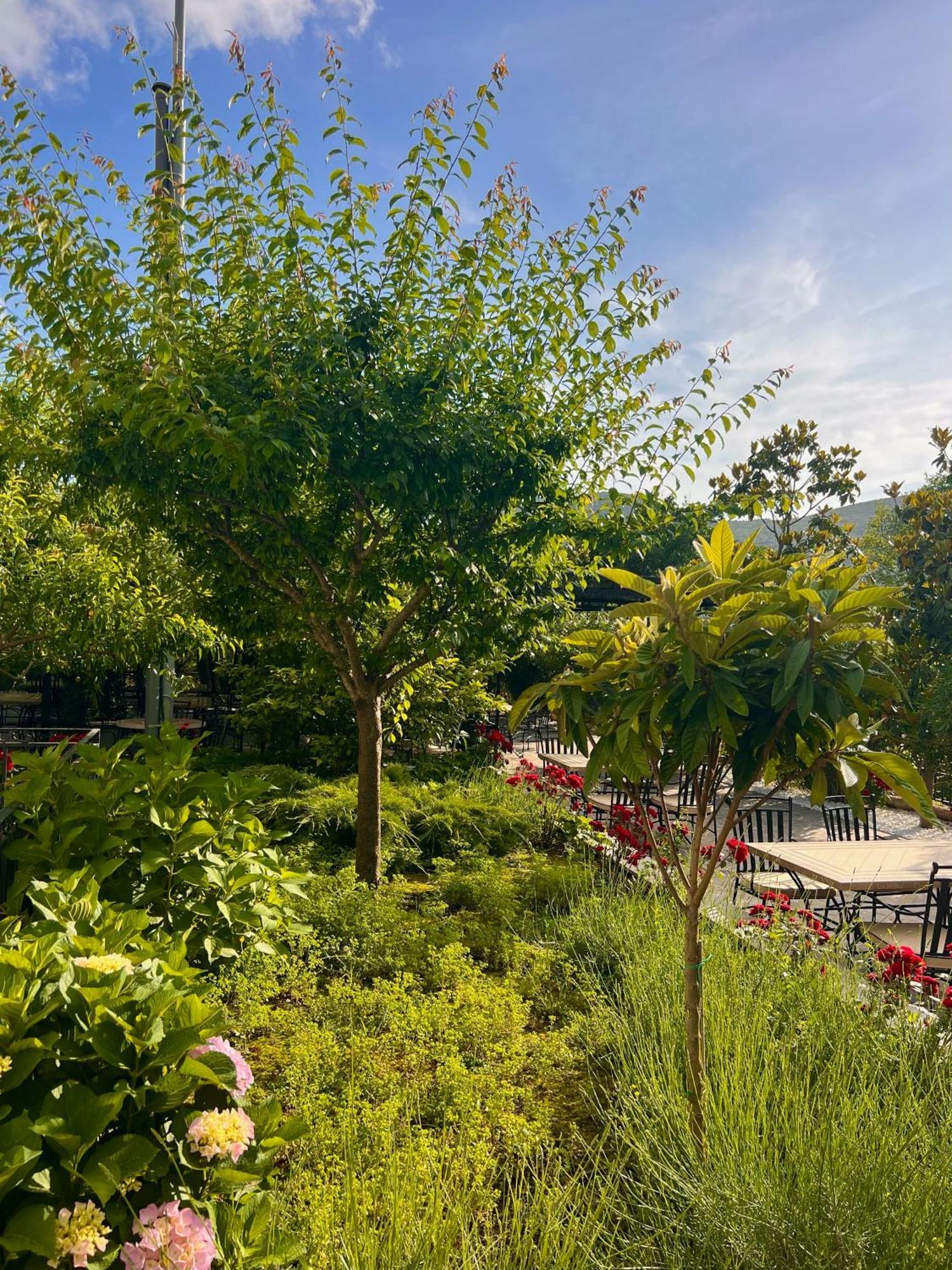 Hotel Opera Jaz Budva Exterior foto